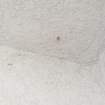 Kellogg Pest Control - Pest Control Near Me - Fresno, California Kellogg Pest Control - Pest Control Near Me - Fresno, California