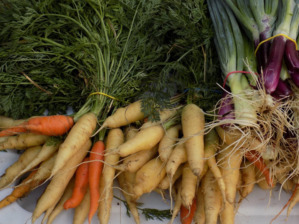 BLACKBIRD FARM Updated October 2024 17008 SW Whiting St, Micanopy