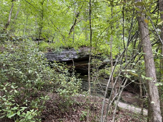 Chattahoochee River National Recreation Area by null