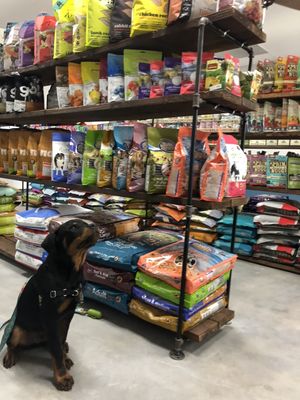 Pet Food and Pet Treats - At The Good Dog, we only offer the best pet food for your cat or dog. We enjoy featuring products with all-natural ingredients and no fillers. Some of the brands we feature include:
Weruva, Fromm, Grandma Lucy’s, Open Farm, Northwest Naturals, Zignature, PureVita, Stella &, Chewy’s, NutriSource
High-Quality Pet Treats in Rancho Cucamonga, CA
We feature dog treats and cat treats from many of the top pet food brands we carry. From dog chews to great-tasting bite-sized treats, you can find your pet’s favorites online or at our pet store.
Call today to learn more or to book your next pet grooming! Pet Food and Pet Treats - At The Good Dog, we only offer the best pet food for your cat or dog. We enjoy featuring products with all-natural ingredients and no fillers. Some of the brands we feature include:
Weruva, Fromm, Grandma Lucy’s, Open Farm, Northwest Naturals, Zignature, PureVita, Stella &, Chewy’s, NutriSource
High-Quality Pet Treats in Rancho Cucamonga, CA
We feature dog treats and cat treats from many of the top pet food brands we carry. From dog chews to great-tasting bite-sized treats, you can find your pet’s favorites online or at our pet store.
Call today to learn more or to book your next pet grooming!