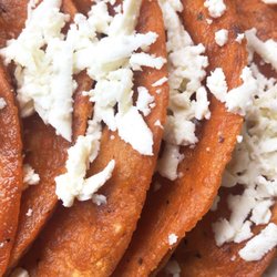 Café Pacífico - Enchiladas Potosinas