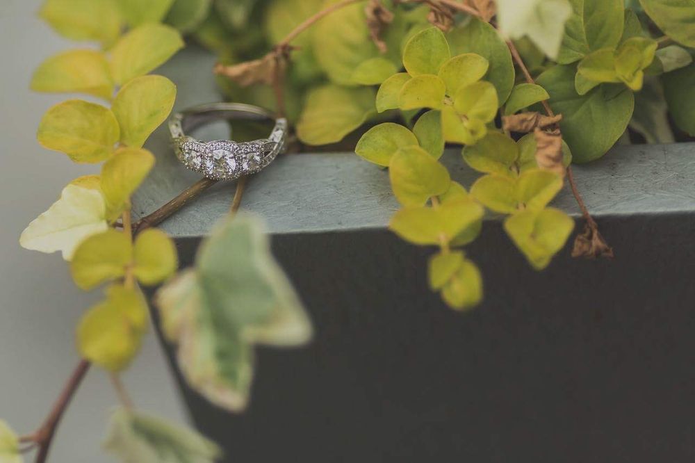 EXETER JEWELERS Updated September 2024 17 Photos & 24 Reviews 101