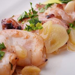 Tapas bar Miró - Grilled squid