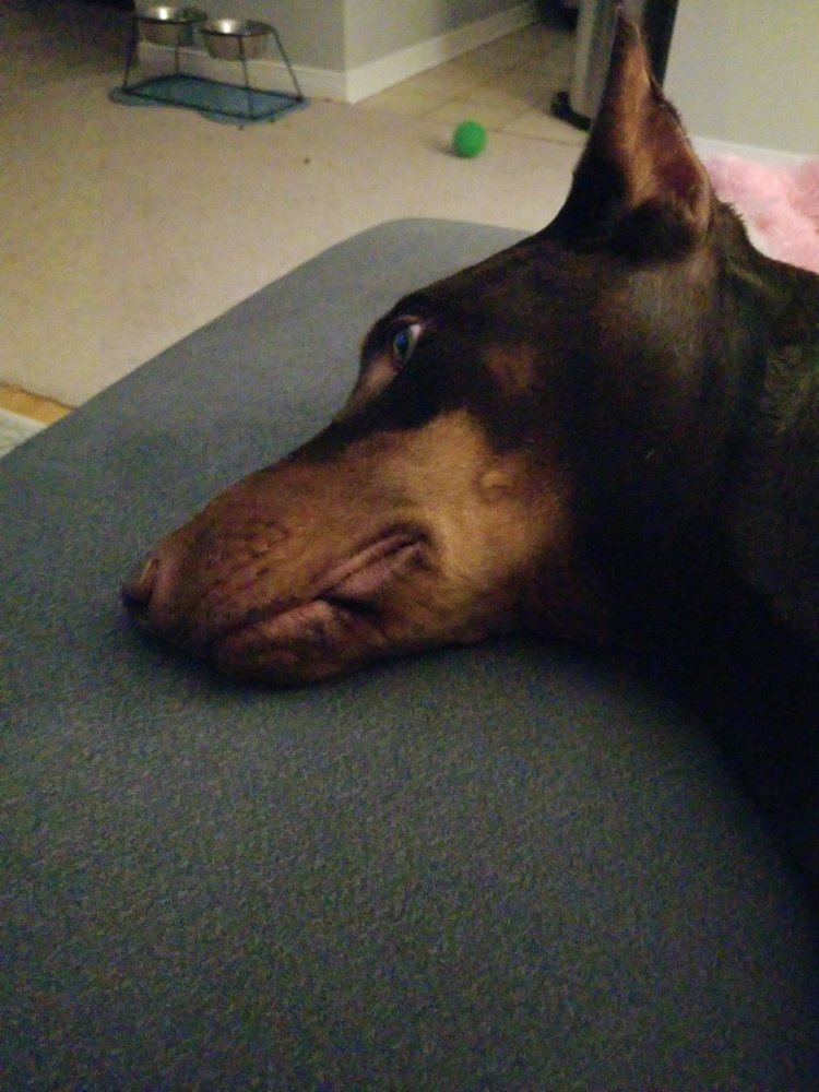 FEEDS Updated October 2024 2165 Durham Highway, Bowmanville