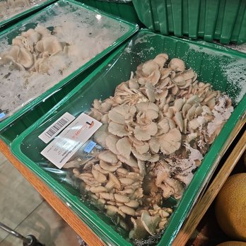 H Mart - Diamond Bar - huge container of mushrooms - Grocery Near Me - Diamond Bar, California