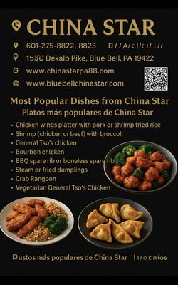 Menu photo 6 China Star Blue Bell, PA