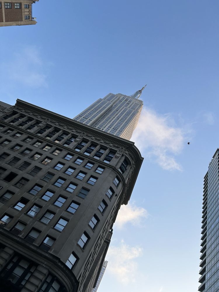 BAGELS & SCHMEAR Updated October 2024 492 Photos & 721 Reviews