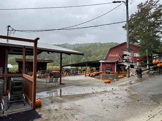 Hillside Orchard Farms by null