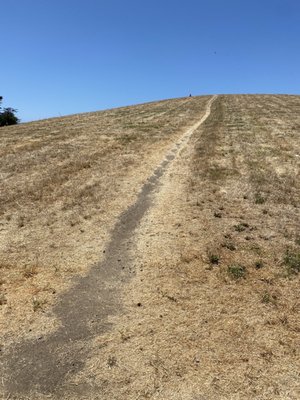 Cesar Chavez Park by null