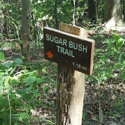 Royalview Trail
