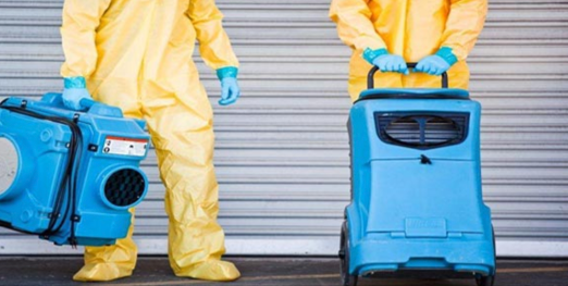 Expert Mold Removal - mold inspector in Tampa, FL