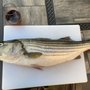 Photo of Byram Bait & Tackle