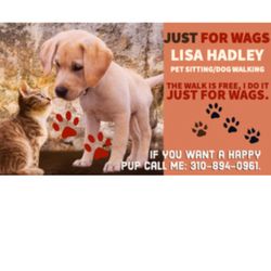 Just for Wags - JUST FOR WAGS