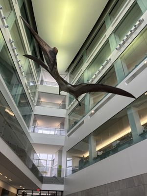 University of Michigan Museum of Natural History by null