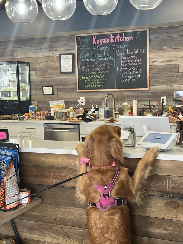 MUTTS ON MAIN Updated July 2024 20 1st Ave, Denvl, New Jersey Pet