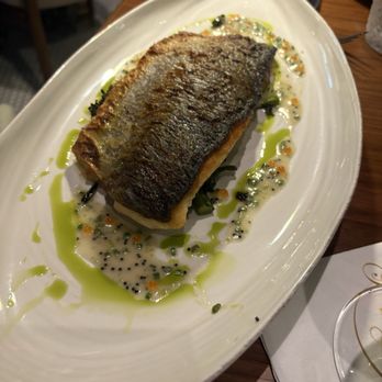 Gabriella’s Modern Italian - Bronzino - Italian Near Me - Delray Beach, Florida