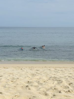 Cabo Surf Hotel & Spa by null