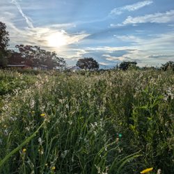 Reunity Farm Summer Sunrise!