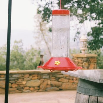 Yosemite Cellars - Wine Tasting Room Near Me - Groveland, California