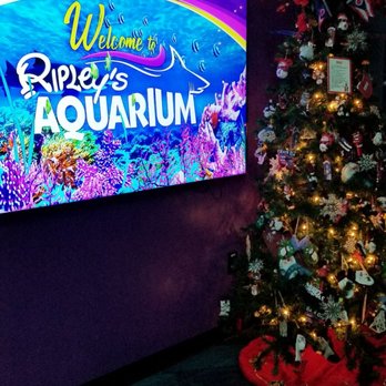 Ripley's Mirror Maze - Aquariums Near Me - Myrtle Beach, South Carolina Ripley's Mirror Maze - Aquariums Near Me - Myrtle Beach, South Carolina