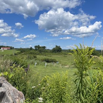 Stone Cow Brewery - Gorgeous views - Breweries Near Me - Barre, Massachusetts Stone Cow Brewery - Gorgeous views - Breweries Near Me - Barre, Massachusetts