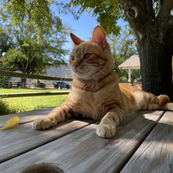 Kaena at the Ranch - Wine Tasting Room Near Me - Solvang, California Kaena at the Ranch - Wine Tasting Room Near Me - Solvang, California