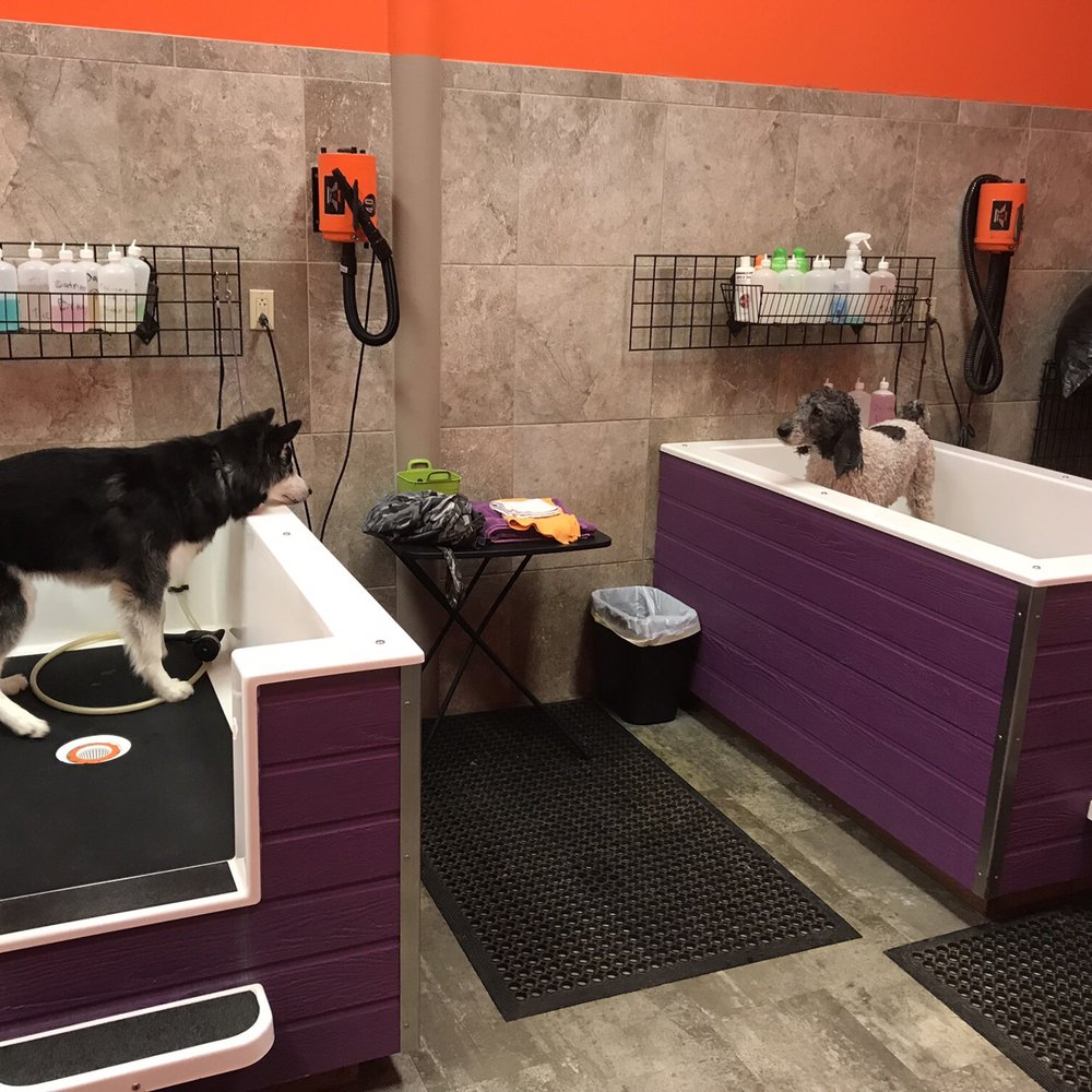 Dar’s Dirty Dogs - Pet Groomers Near Me - Youngstown, Ohio Dar’s Dirty Dogs - Pet Groomers Near Me - Youngstown, Ohio