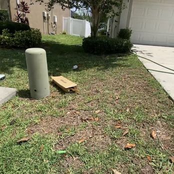 Vanguard Management Group - HOA not enforcing basic community standards and regulations - Homeowner Association Near Me - Tampa, Florida