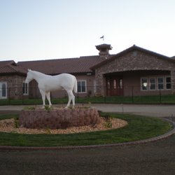 AAA Kindness Care - The front of our beautiful care home and our horse mascot.
