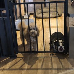 If you get lucky, you'll run into Taco and Earl