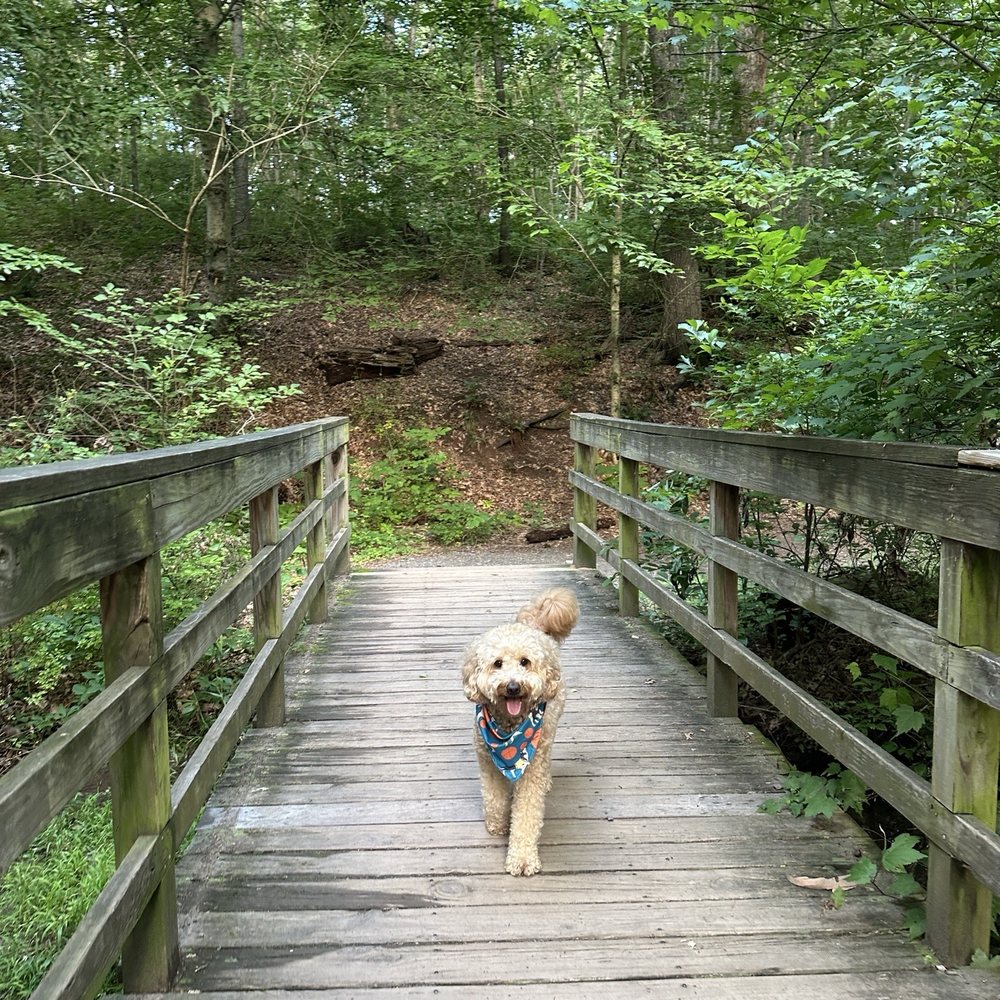 Eleanor C Lawrence Cabell's Park Mills - Hiking Near Me - Chantilly, Virginia
