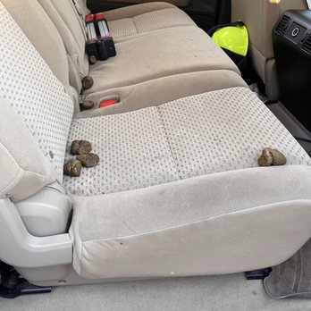 Xtreme Auto Detailing - Before. My dog is not a fan of cloth seats. - Auto Detailing Near Me