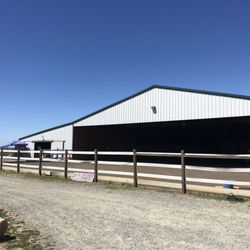 Aleya Tarver Horsemanship - You're in the right place!