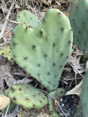 Indiana Dunes Visitor Center by null