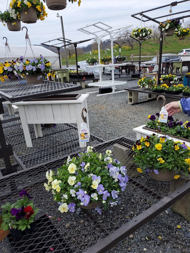 TAYLOR’S GREENHOUSE Updated May 2024 265 Fairgrounds Rd