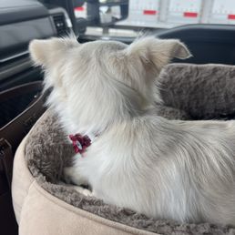 Mochi Mochi