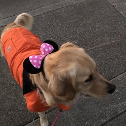 Orloff Park - Lola found Minnie Mouse ears at the park