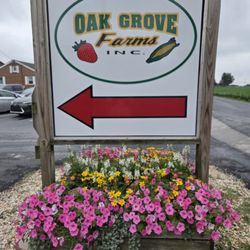 Oak Grove Farms