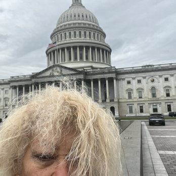 Capitol Cookies - I'm in here to defend , to still fight under law and rules what is belong to me - Specialty Food Near Me