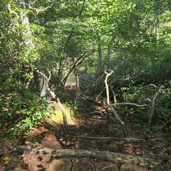 Yawgoo Pond Trail