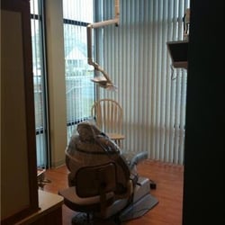 Sy Viet Nguyen, DDS