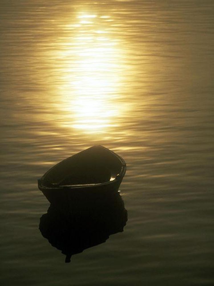 SEACASE URNS Updated June 2024 Request Information 12027 117th St, Largo, Florida