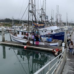 Captain Barry's Seafood - The Boat at Johnson Pier Dock G3