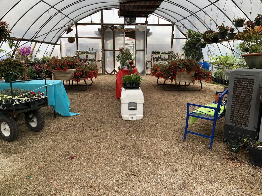 RCW NURSERIES 41 Photos & 26 Reviews Nurseries & Gardening 15809