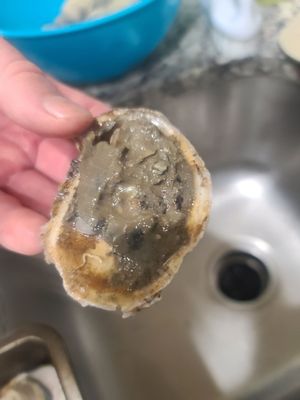 Groomer's Seafood by null