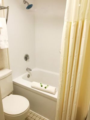 The Midtown Hotel by null