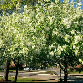 Saint Michael's College - Colleges & Universities Near Me - Colchester, Vermont