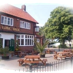 Lime Tree - The Lime Tree
