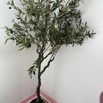 Bake Sale Bakery & Cafe - Cute lil tree 4/4/26 - Coffee & Tea Near Me - Azusa, California