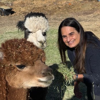 Smooth Alpaca Experience - Petting Zoos Near Me - Golden, Colorado Smooth Alpaca Experience - Petting Zoos Near Me - Golden, Colorado